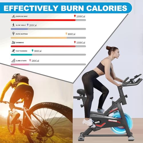 Image of Exercise Bikes Stationary,Exercise Bike for Home Indoor Cycling Bike for Home Cardio Gym,Workout Bike with Mount & LCD Monitor,Silent Belt Drive