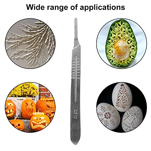 Skalpellklingen,Skalpell Fusspflege,Scalpel Blades,Podologie Instrumente Skalpell,10 Stück Skalpellklingen Aus Karbonstahl - Ersatzklingen Einzeln Steril Verpackt + Skalpell Halter - Edelstahl