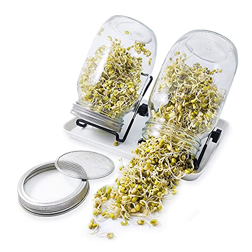 Sprossenglas Keimglas Set, 2 Mason Jars 36oz mit Siebdeckeln aus Edelstahl, Tablett und Ständer, Samenzuchtset für Bohnensprossen, Brokkolisamen, Luzerne, Salat in der Küche, 1000 ml Cover