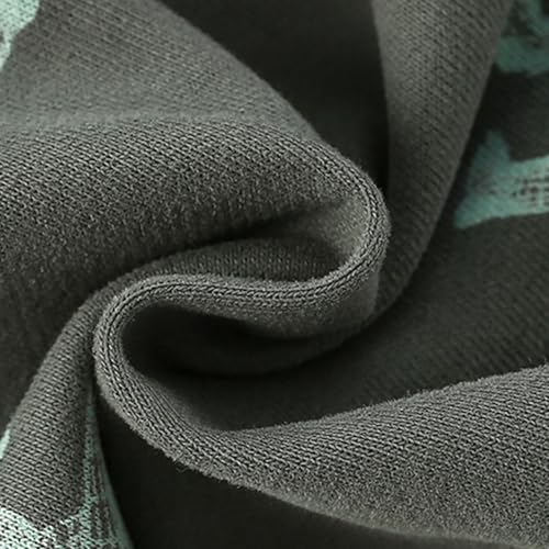 Boys' Zip Up Hoodie Sweatshirt Toddler Boys Cartoon Dinosaur Printing Causal Round Neck T for Children (AG, 4-5 Years)2