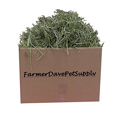 3 lb Early 1st Cut Premium Rabbit and Bunny Hay