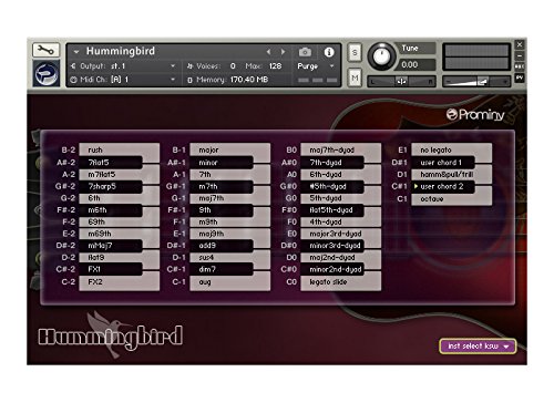 Amazon.co.jp: Prominy Hummingbird アコースティックギター音源