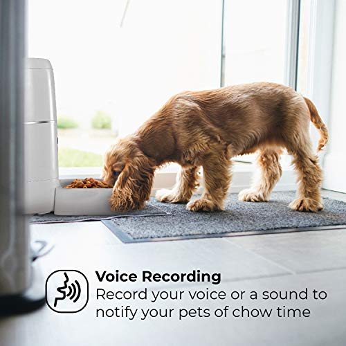 Home Zone Pet Automatic Feeder - Smart Wireless Pet Feeder for Small Dogs and Cats, 6L - Image 5