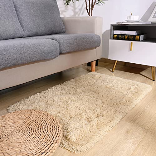 DETUM 2x3 Rug Small Beige Rug Fluffy Rugs for Bedroom