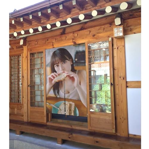 写真 岩本蓮加 (1)(1). のれん 間仕切り 目隠し 暖簾 ドアカーテン ロング 和風 遮光 厚手 柔らかい 飾り 玄関/廊下/寝室/部屋/出入り口/キッチンに プライバシー保護