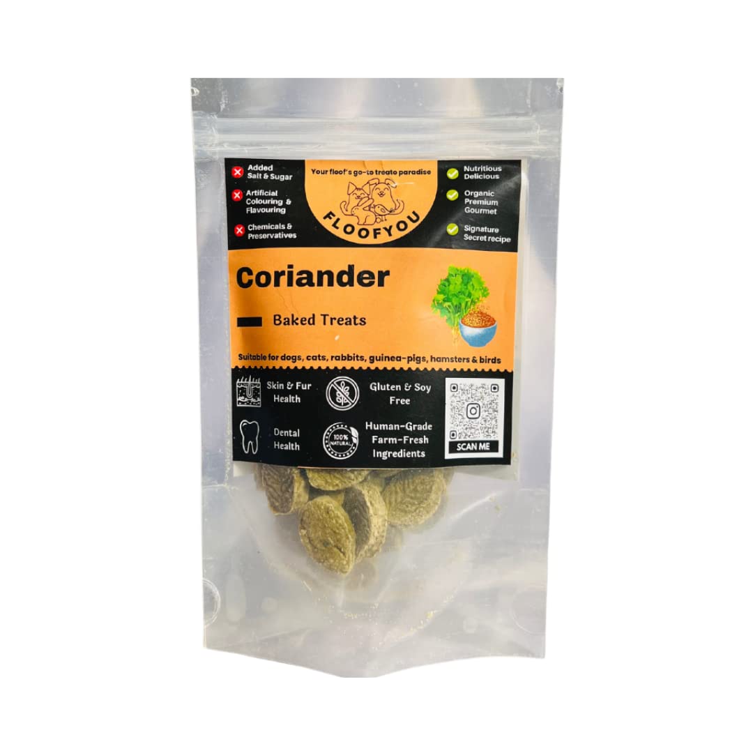 Coriander Cookies Pure Veg Small bite-Sized Natural Healthy Treat for Rabbit, Guinea-Pig, Hamster, Bird and Small Animals,1 Count