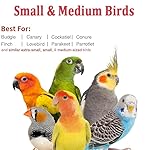 Small Bird Travel Carrier, Portable Bird Travel Outside Cage for Parakeet, Parrot, Budgie, Guinea Pig, Bearded Dragon Reptile Carrier for Hiking Vet Visit Bicycle Ride (Orange, Carrier) - Image 4