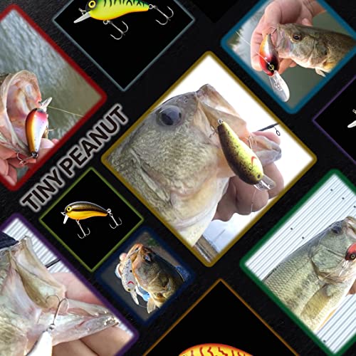 ダイワ タイニーピーナッツ SSR 40mm 8枚目