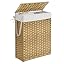 أوزة صفراء