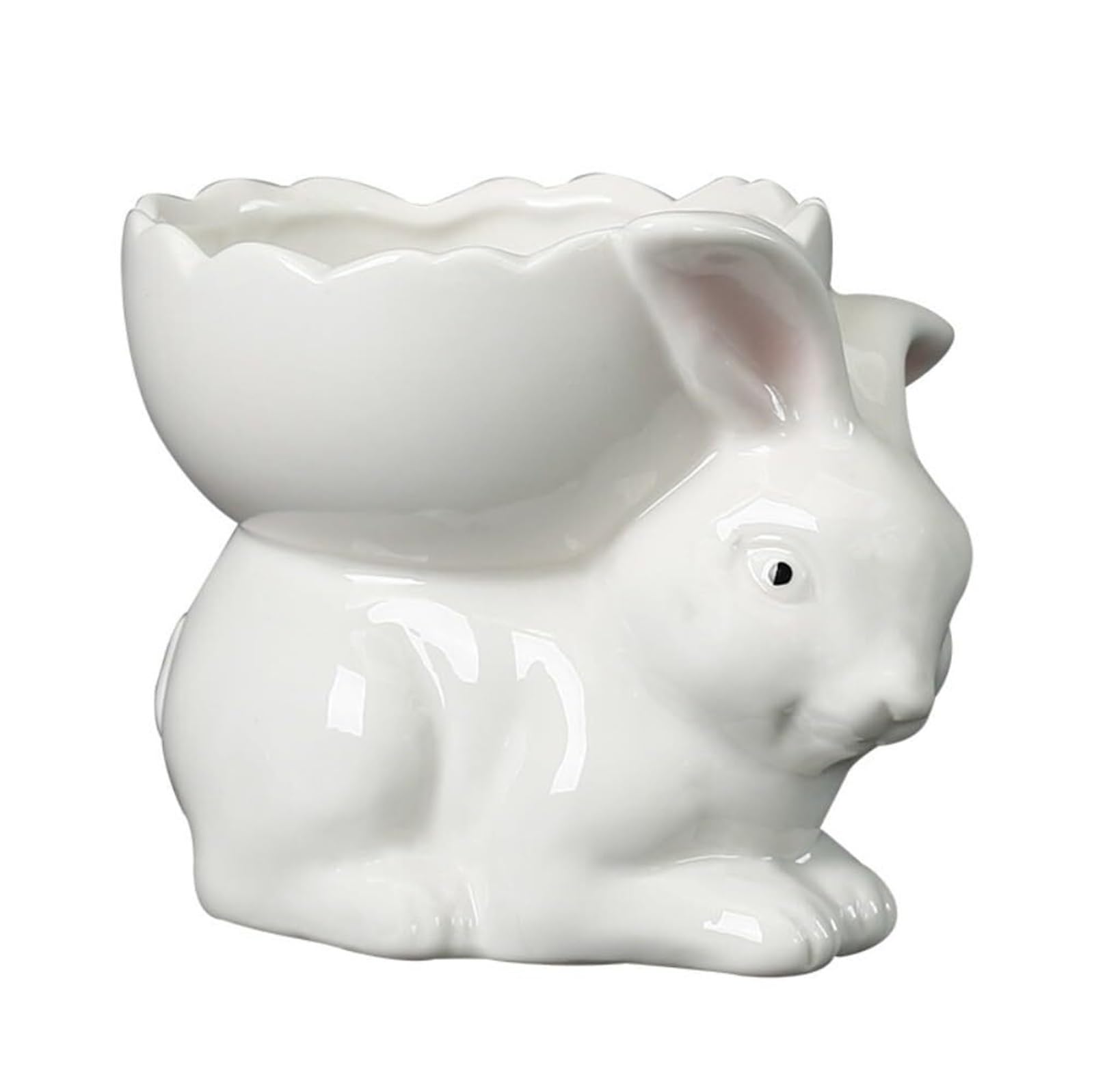MDNIPQBAM natural Creative Rabbit Succulent Flower Pot/Plant Bonsai Decoration Large Size for garden(A)
