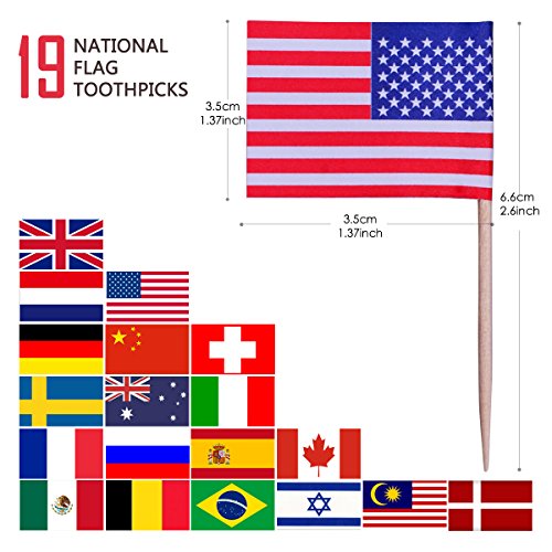 Youngrich 100 Pack World Flag Sticks(19 Countries) International Flags Banners Toothpicks Cocktail Sticks Cupcake Picks Banner Innovative Design One-Off For Bar Sports Clubs Party Events Decoration #TOP2