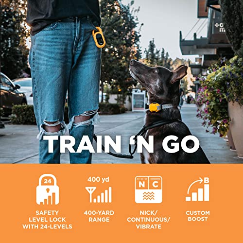 Dogtra Cue E-Collar With Safety Level Lock Boost Vibration Waterproof Rechargeable For Small Medium Large Dogs Dog Training Collar #TOP3