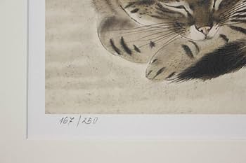 藤田嗣治 エスタンプリトグラフ 「眠る猫」 250部限定 Amazon.co.jp: 藤田嗣治 エスタンプリトグラフ 「眠る猫」 250部