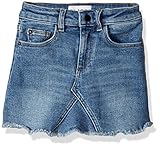 DL1961 girls Toddler Jenny Mini Skirt, Blue Rose, 6 Years US