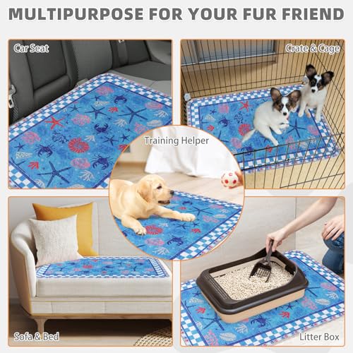 Image of KOOLTAIL Summer Washable Pee Pads for Dogs, 2 Pack Super Absorbent Reusable Puppy Training Pads Waterproof, Nonslip & Leak-Proof Dog Pee Pads,Large Pet Mats Whelping Pads for Floor,Crate,Couch,36 inchx41 inch