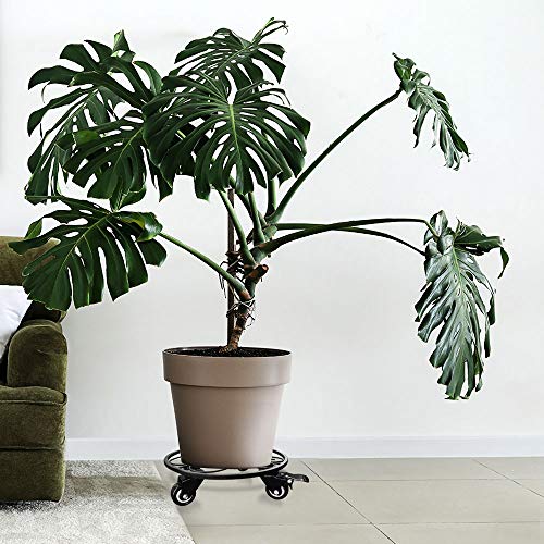 Iron Potted Plant Stand on Steel Casters (No Plastic), 12", Metal Plant Stand on Rollers, Flower Pot Trolley, Round Plant Caddy, Planter Movers with Locking Round Wheel, Plant Caddie, Pot Dolly