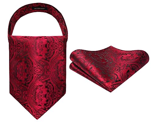 Image of MIPPO Men's Ascot Paisley Floral Jacquard Woven Gift Cravat Tie