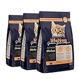 Alimento completo para gatitos