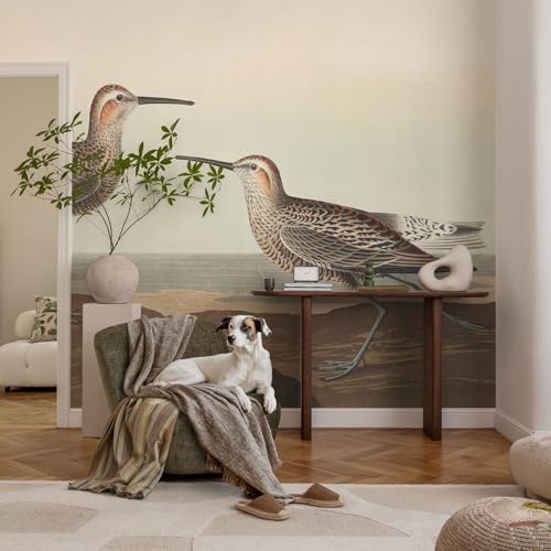 Papier peint intissé salon décoration intérieure oiseaux 312x219 pose murale