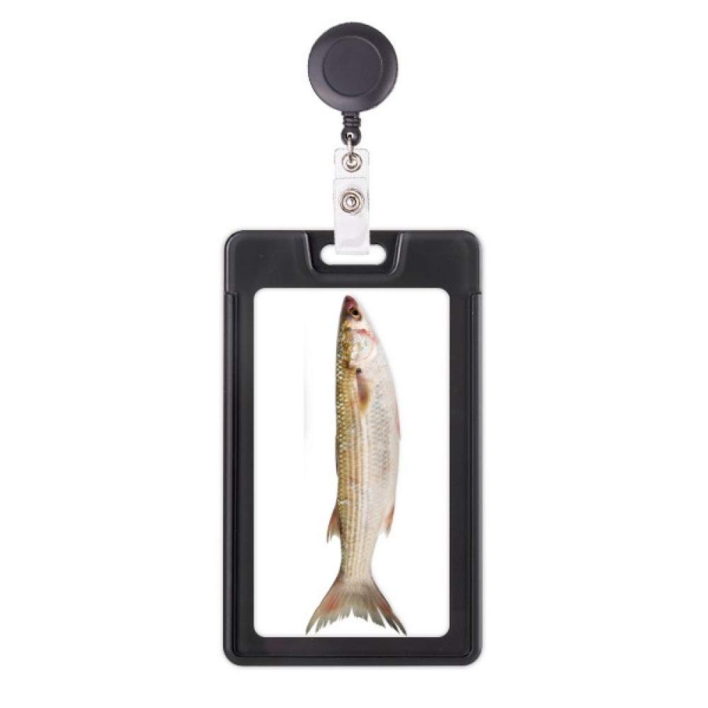 Funda retráctil para tarjetas con diseño Ocean Fish y sistema extensible suave 5