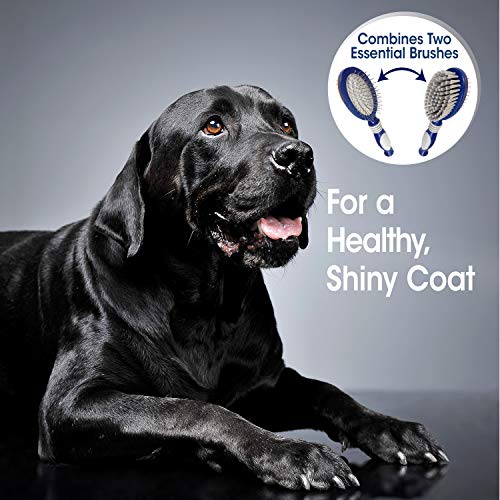 Four Paws Magic Coat Professional Series Grooming Brushes For Dogs & Cats L Trimmers, Nail Clippers, & Brushes Dog & Cat #TOP4