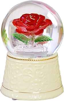 51NdO24UDWL._AC_UF350, 51NdO24UDWL._AC_UF350,