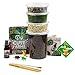 Cute Farms Terrarium Starter Kit | Moss, Vermiculite, Soil, Pebbles, Plant Food, Finishing Tools (Large Kit)