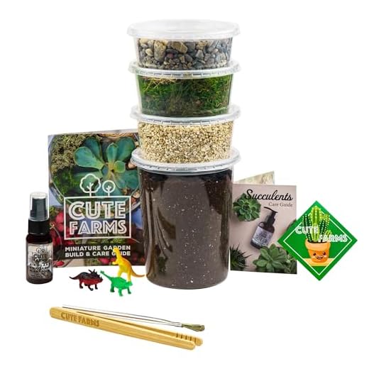 Cute Farms Terrarium Starter Kit | Moss, Vermiculite, Soil, Pebbles, Plant Food, Finishing Tools, Build and Care Guide | DIY Succulent Terrarium for Adults and Kids (Large)