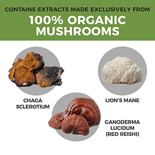 Lion’s Mane Extract Powder (60G) | Reishi 415 Extract Powder (45G) | Turkey Tail Extract Powder (45G) | Organic Mushroom, Non-Gmo, Vegan #TOP2