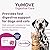YuMOVE Digestive Care PLUS | Previously YuDIGEST PLUS | Veterinary Strength Fast-acting Probiotic Digestive Support for Dogs, All Ages and Breeds | 60 Sachets | Packaging may vary