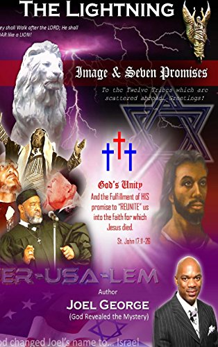 The Lightning Image & Seven Promises: Hard Cover 1312733160 Book Cover