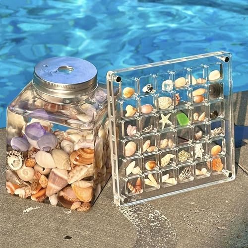 Acrylic Magnetic Seashell Display Box, Clear Mini Seashell Display Container Case, Transparent Seashell Storage, 36 Grids Seashell Storage Box for Seashell Diamond Beads