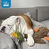Best-Pet-Supplies-2-in-1-Stuffless-Squeaky-Dog-Toys-with-Soft-Durable-Fabric-for-Small-Medium-and-Large-Pets-No-Stuffing-for-Indoor-Play-Holds-a-Plastic-Bottle 2 in 1 Stuffless Squeaky Dog Toys with Soft