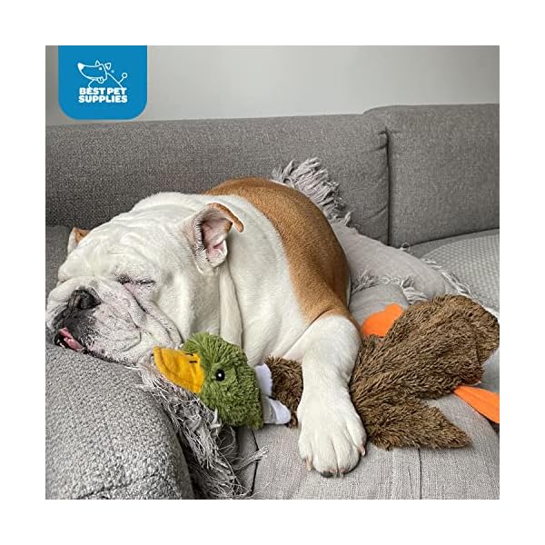 Best-Pet-Supplies-2-in-1-Stuffless-Squeaky-Dog-Toys-with-Soft-Durable-Fabric-for-Small-Medium-and-Large-Pets-No-Stuffing-for-Indoor-Play-Holds-a-Plastic-Bottle 2 in 1 Stuffless Squeaky Dog Toys with Soft