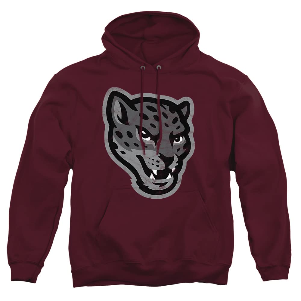 LOGOVISION Official Collegiate Distressed Primary Logo Adult Pullover Hoodie Collection — view 95
