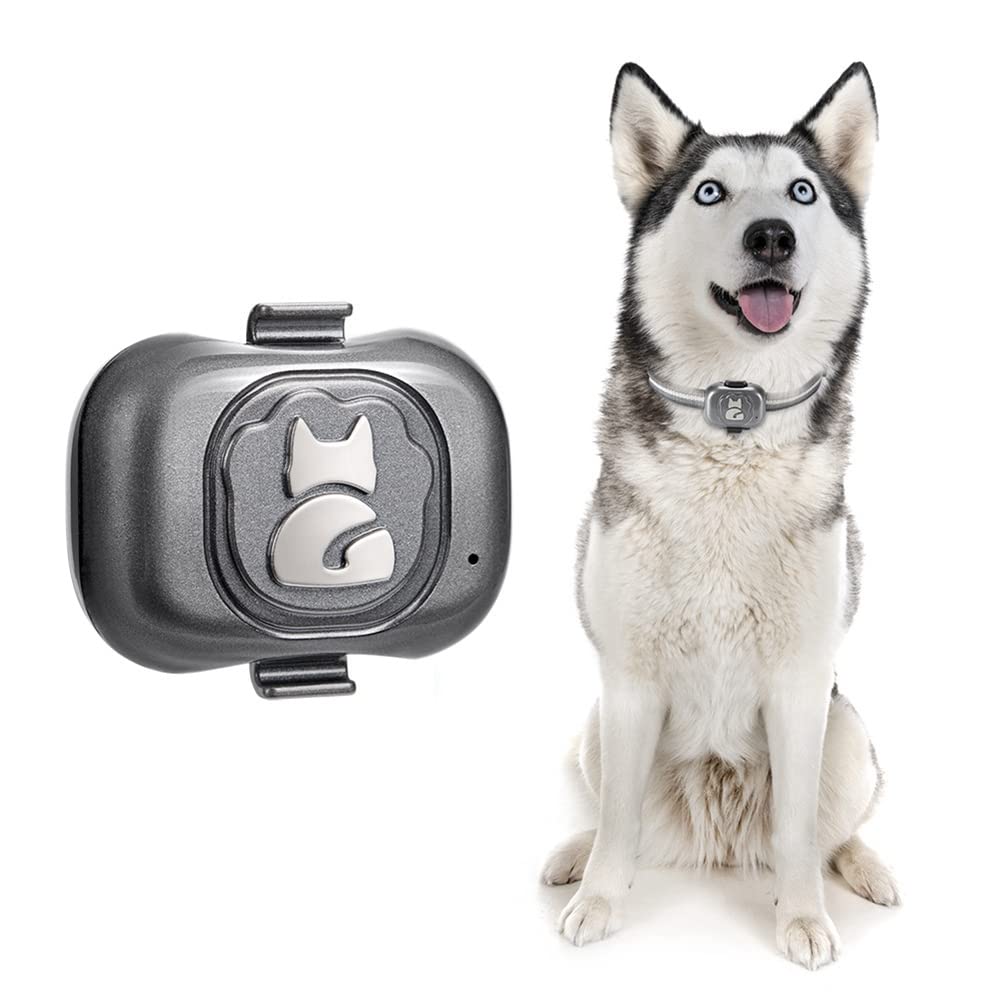 Localizzatore GPS 4G per localizzatore di cani Dispositivo anti-perso impermeabile Rilevatore di oggetti Smart Phone Piccolo allarme antifurto per animali domestici