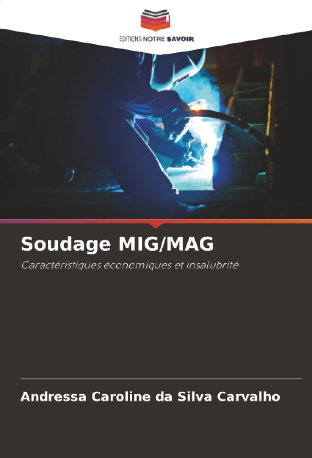 Soudage MIG/MAG: Caractéristiques économiques et insalubrité