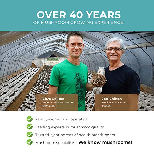 Real Mushrooms 5 Defenders Mushroom Supplements for Immune Support (90ct) Promote Better Overall Wellbeing w/ Chaga, Shiitake, Maitake, Turkey Tail, & Reishi Mushroom | Vegan, Non-GMO