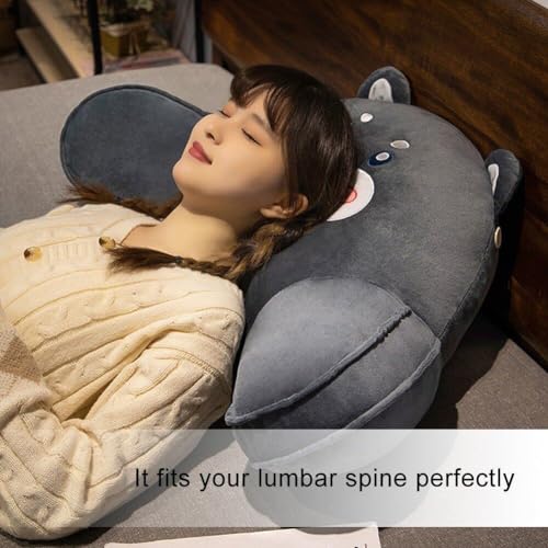 Oreiller de lecture luxueux avec coussin de dossier et support cervical - 5