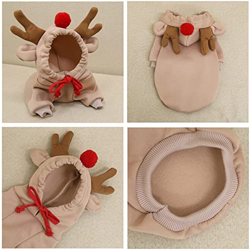 Ropa para perro con diseño de fruta en capucha XS miniatura 2