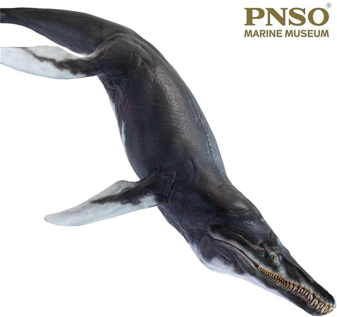 Amazon.co.jp: PNSO 1 35 クロノサウルス 海洋博物館 恐竜 フィギュア