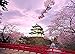 YUMUYAO Puzzle 1000 Piezas DIY Rompecabezas De Madera Paisaje de Flor de Cerezo japonés Ocio Creatividad Crucigrama El Juego Niño Rompecabezas Juguete Cumpleaños Festival