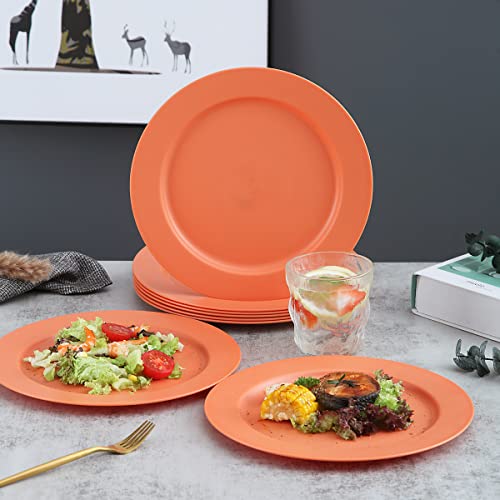 Kyraton 25cm Teller Set 8er, Abbaubar Gesunde Unzerbrechliches Plastikteller Kuchenteller für Kinder und Erwachsene, Leichte pastateller, BPA-Frei Essteller Mikrowellen