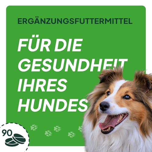 Malabone – Gelenktabletten für Hunde mit Calcium, Phosphor & Vitamin D3 – Ergänzungsfuttermittel für Knochen & Gelenke – für Hunde in jedem Alter – 90 Stück - Barf