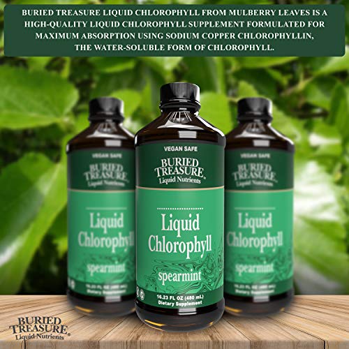 Buried Treasure Liquid Chlorophyll 100 mg Dietary Supplement, Energy Boost Immune Support Detox Intestinal Digestive Support Natural Body Deodorant Vegan Non-GMO Alcohol Free Spearmint Flavor,16 oz