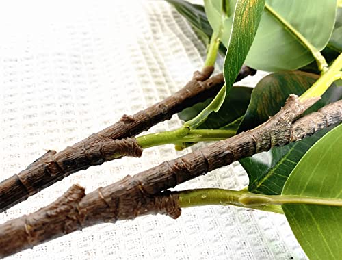 Artificial Ficus Elastica Plant Stems Rubber Tree Long Fig Leaves Branches Houseplant For Home Office Garden Decoration - 38 Inch (Green - Pack Of 2Pcs) #TOP7