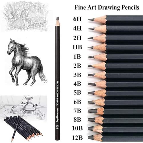 Image of PAXCOO Set of 12 Pcs Professional Drawing Sketching Pencil Drawing Art Pencils Graphite Shading Pencils for Beginners & Pro Artists Professional Sketch,Suitable for Art Design, Shading, Adults & Kid
