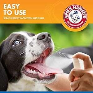 Arm-Hammer-for-Pets-Tartar-Control-Dental-Spray-for-Dogs-Dog-Dental-Spray-Reduces-Plaque-Tartar-Buildup-Without-Brushing-Mint-Flavor-4-Ounces - Cucciolini Doodles Arm-Hammer-for-Pets-Tartar-Control-Dental-Spray-for-Dogs-Dog-Dental-Spray-Reduces-Plaque-Tartar-Buildup-Without-Brushing-Mint-Flavor-4-Ounces