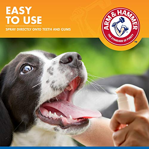 Arm-Hammer-for-Pets-Tartar-Control-Dental-Spray-for-Dogs-Dog-Dental-Spray-Reduces-Plaque-Tartar-Buildup-Without-Brushing-Mint-Flavor-4-Ounces - Cucciolini Doodles Arm-Hammer-for-Pets-Tartar-Control-Dental-Spray-for-Dogs-Dog-Dental-Spray-Reduces-Plaque-Tartar-Buildup-Without-Brushing-Mint-Flavor-4-Ounces