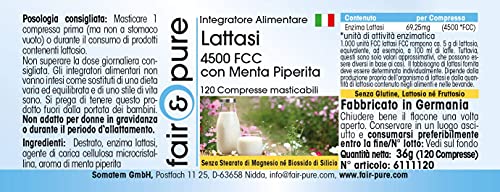 Lactase tabletten - hoge dosering - 120 kauwtabletten - 4500 FCC - Image 7